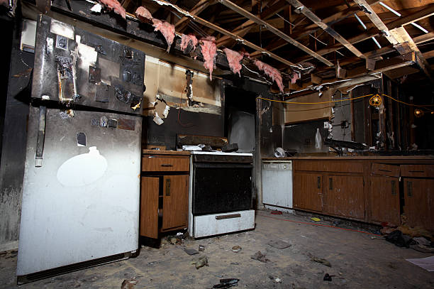 Affordable Fire Damage Removal solutions in Bock, MN